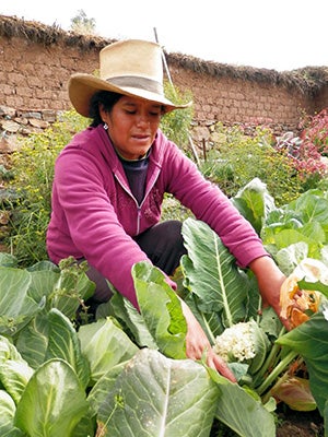 Perú ONU Mujeres