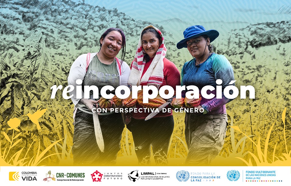 cover_reinorporacion