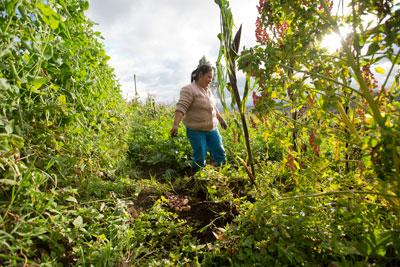 Una mujer shagrera -que cultiva según las formas de producción agrícola ancestral- beneficiaria de un fondo de ONU Mujeres para el empoderamiento económico, clave para la construcción de paz a nivel territorial. Foto: ONU Mujeres/Ryan Brown